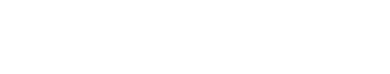 Camelot Technologies